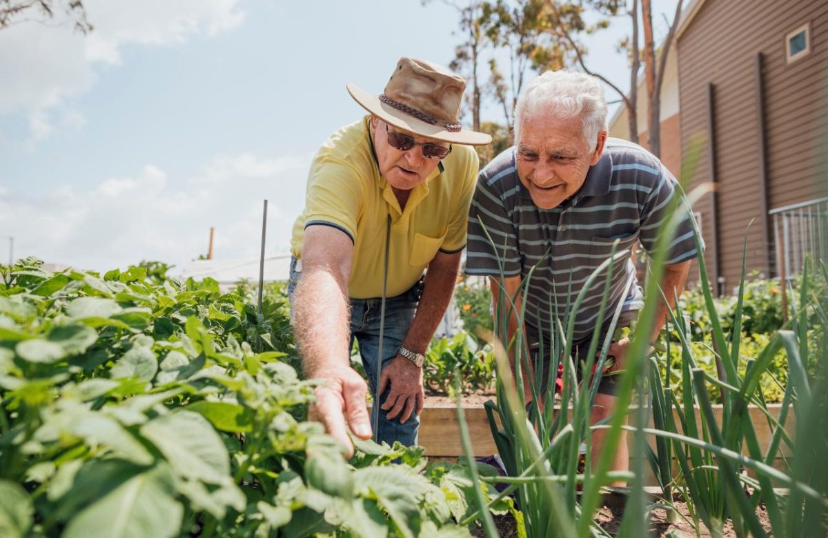 Download our working in retirement guide