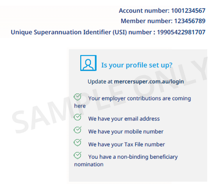 2025 annual satatment check your personal details sample
